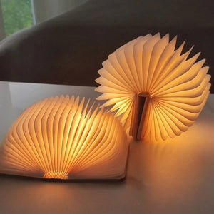 Two Book Lamps - Tinyminymo