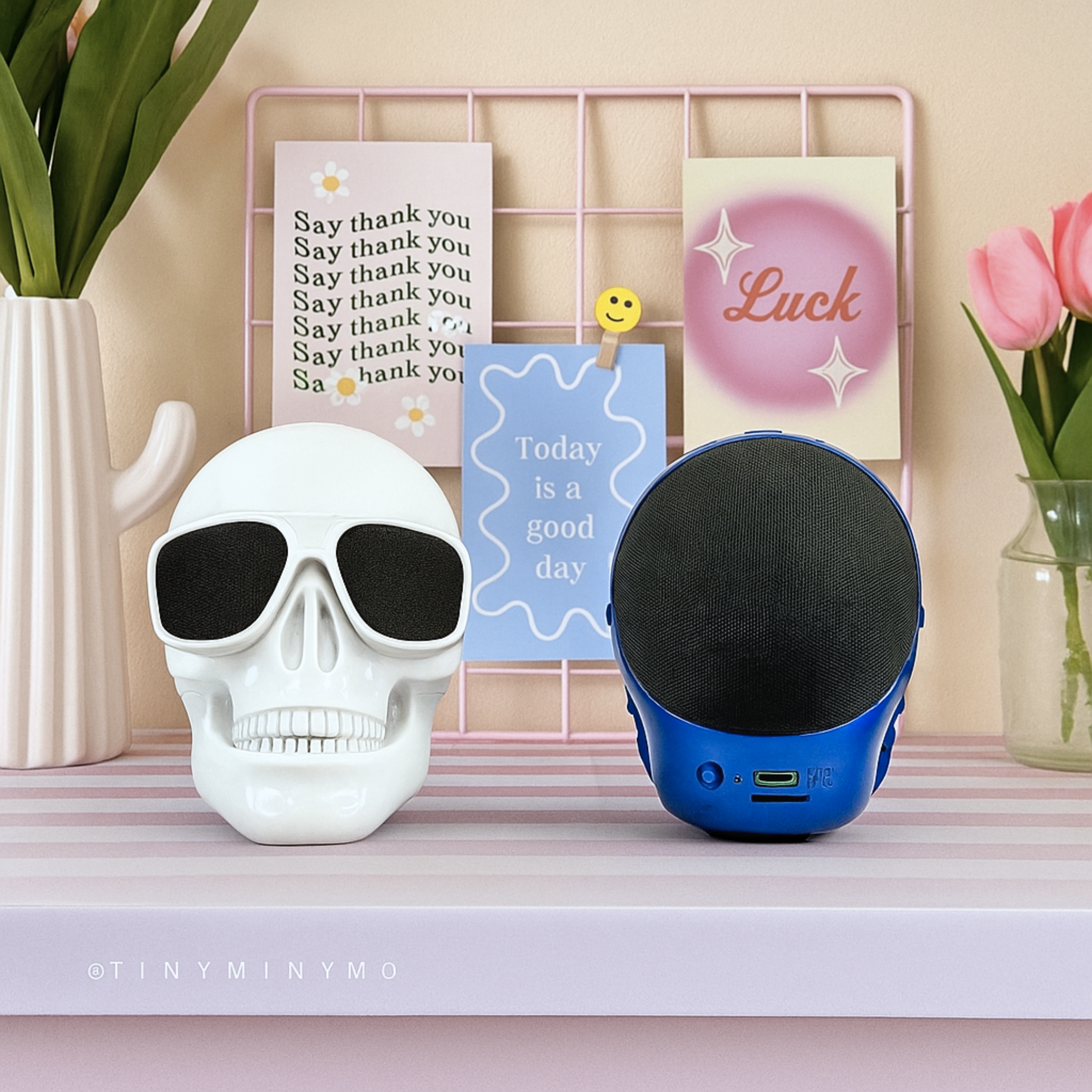 Cool Skull Wireless Bluetooth Speaker