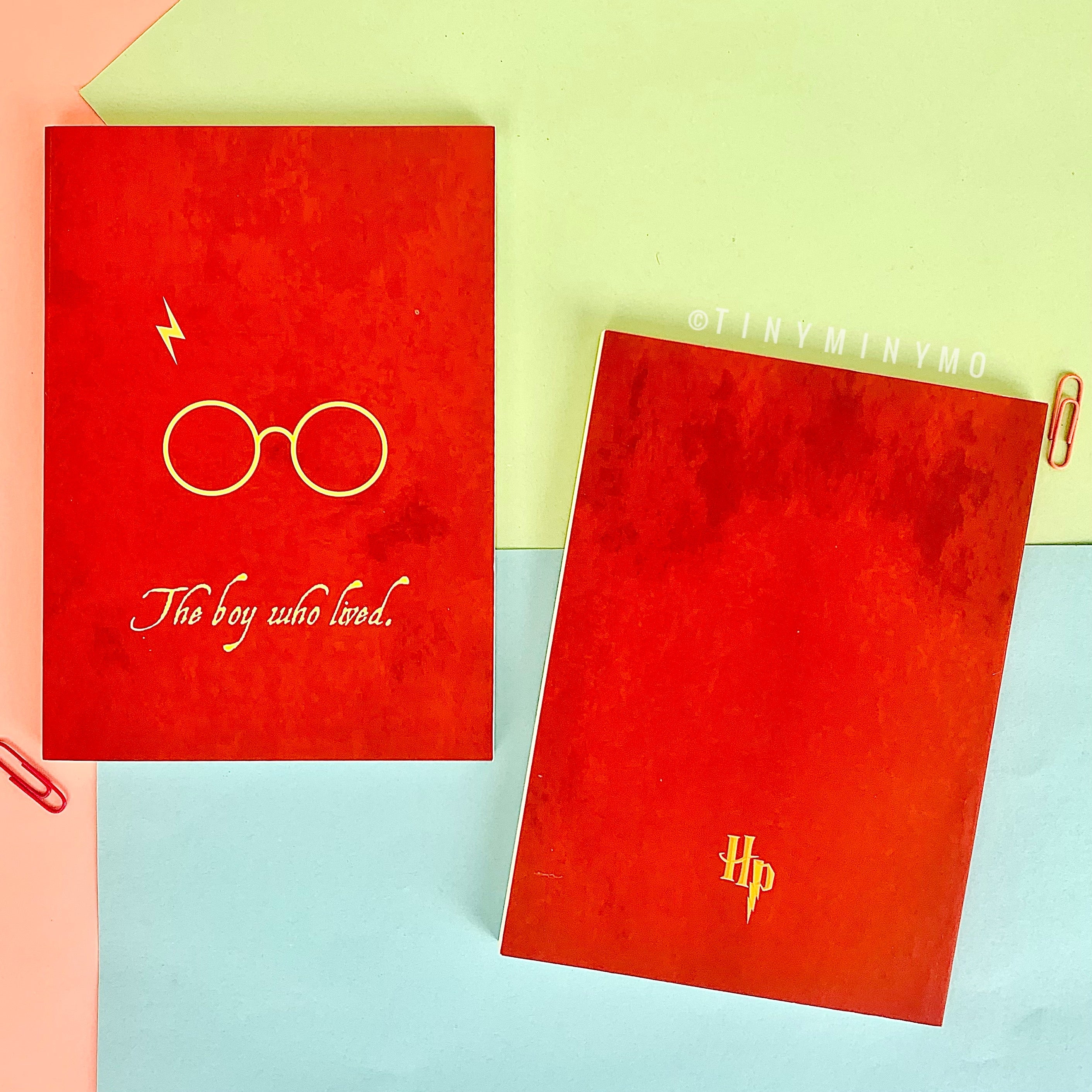 The Boy who Lived - Harry Potter Notebook