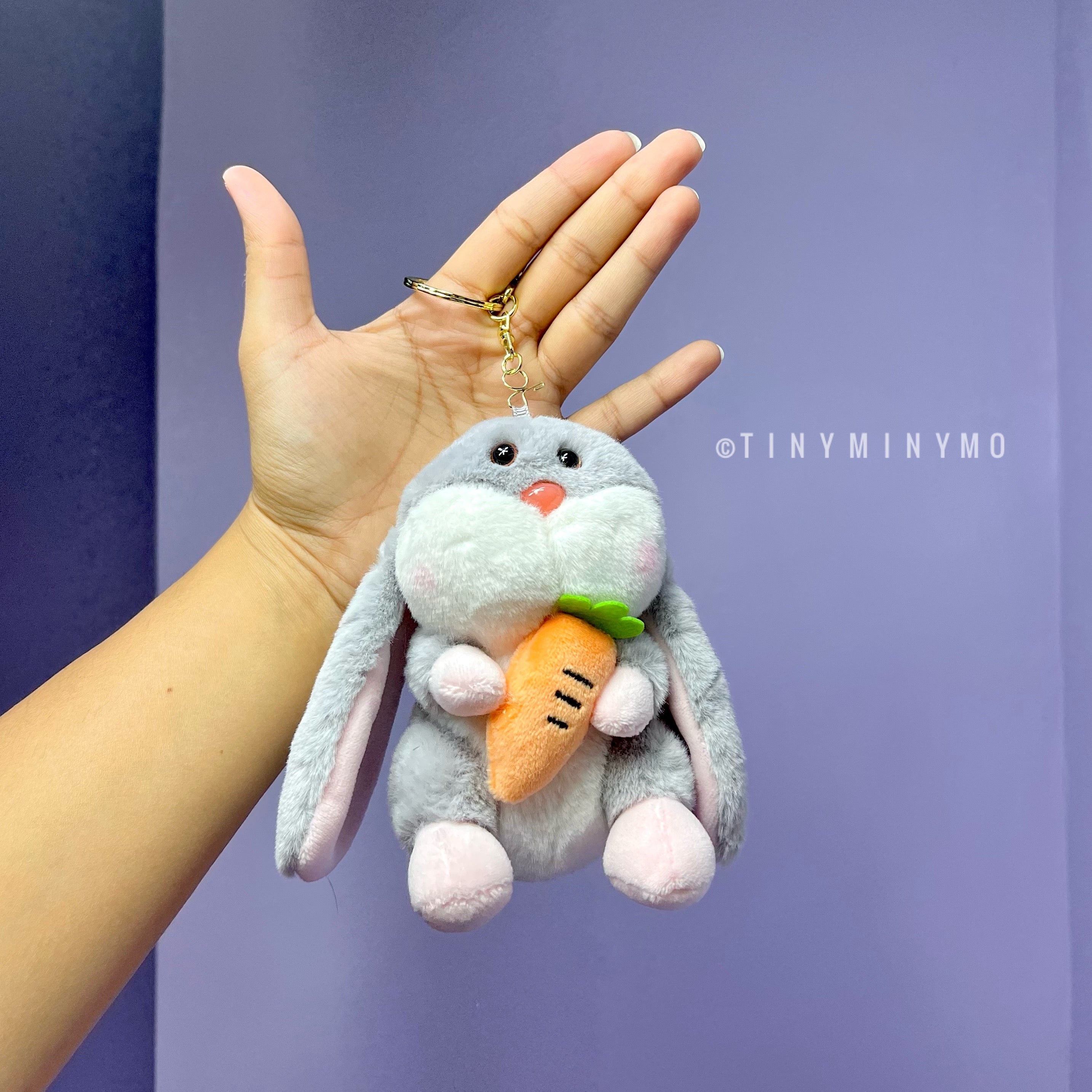 Plush Bunny with Carrot Keychain - Tinyminymo