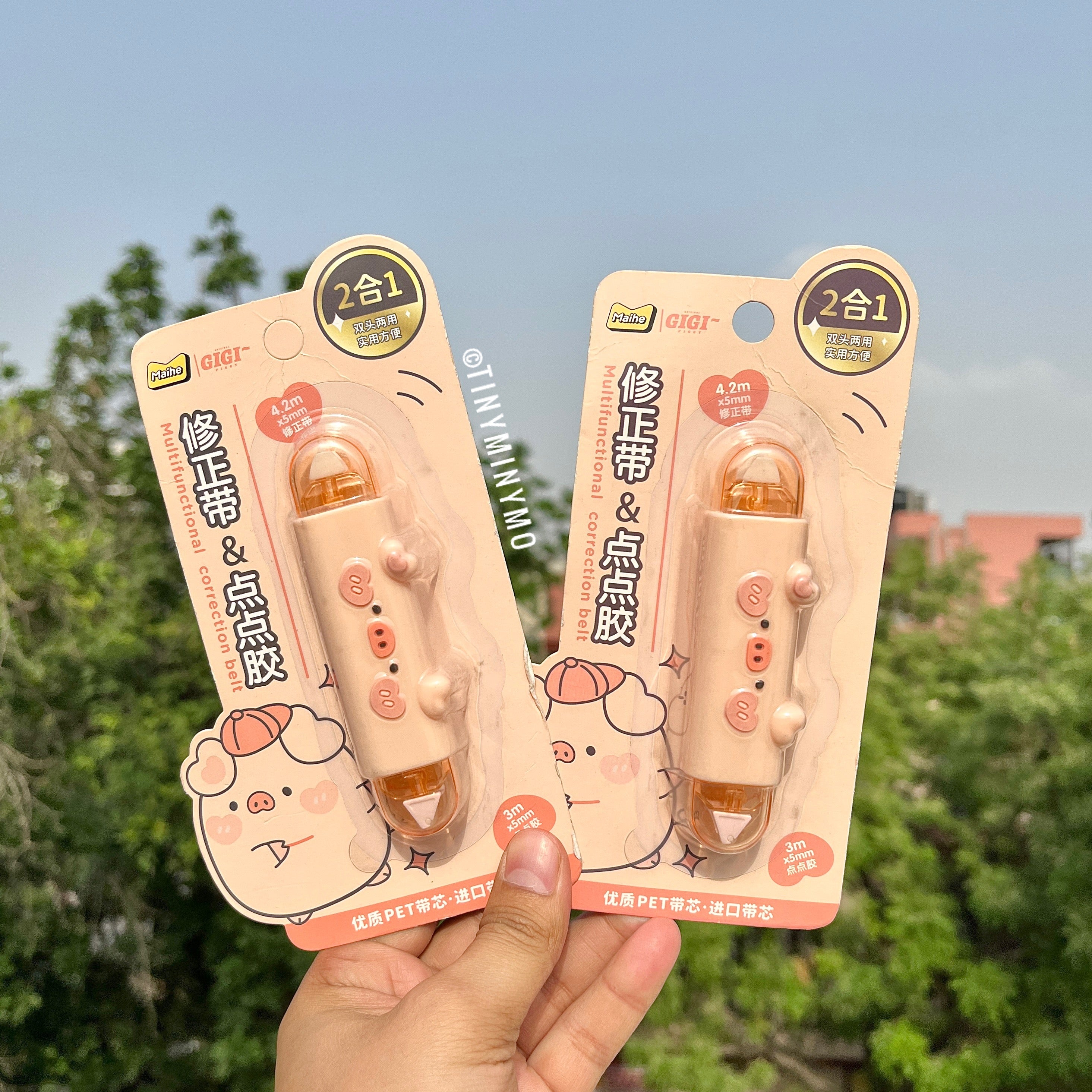 2 in 1 Piggy Correction Tape